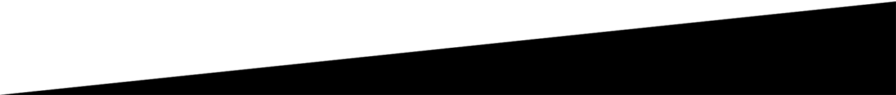 Border bottom publicitate radio